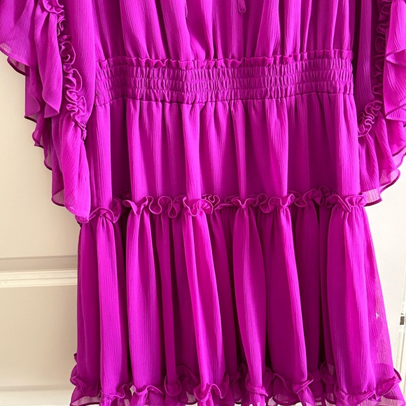 Pink Ruffle Dress - Picture 6 of 7